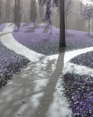 paths